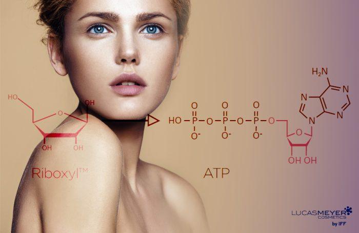 Riboxyl™ – Το Σάκχαρο της Ζωής | Κλινική Μελέτη